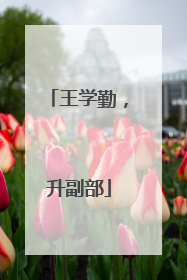 王学勤，升副部