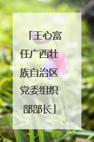 王心富任广西壮族自治区党委组织部部长