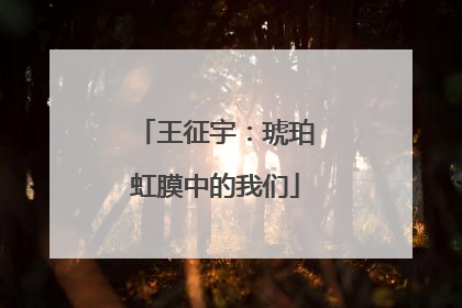 王征宇：琥珀虹膜中的我们
