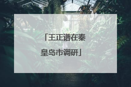 王正谱在秦皇岛市调研