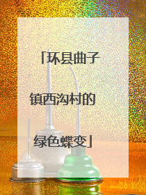 环县曲子镇西沟村的绿色蝶变