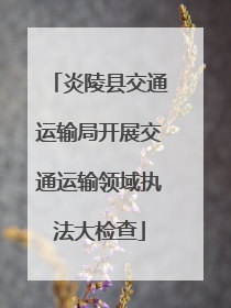 炎陵县交通运输局开展交通运输领域执法大检查