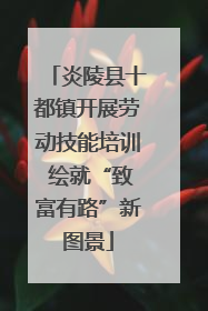 炎陵县十都镇开展劳动技能培训 绘就“致富有路”新图景