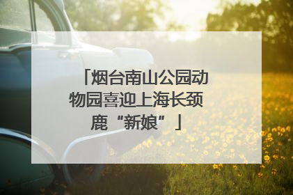 烟台南山公园动物园喜迎上海长颈鹿“新娘”