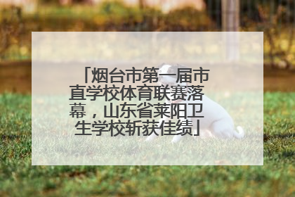 烟台市第一届市直学校体育联赛落幕，山东省莱阳卫生学校斩获佳绩