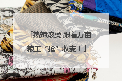 热辣滚烫 跟着万亩粮王“抢”收麦！