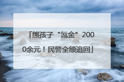 熊孩子“氪金”2000余元！民警全额追回