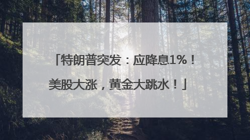 特朗普突发：应降息1%！美股大涨，黄金大跳水！