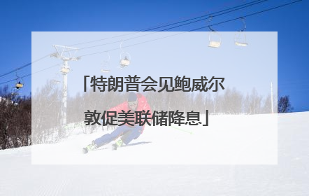 特朗普会见鲍威尔 敦促美联储降息