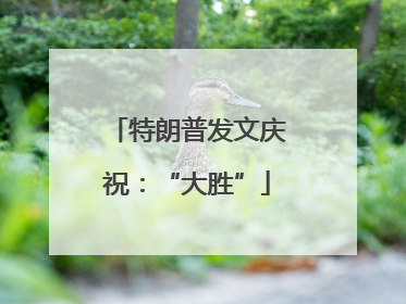 特朗普发文庆祝：“大胜”