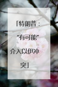 特朗普：“有可能”介入以伊冲突