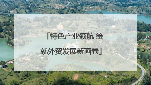 特色产业领航 绘就外贸发展新画卷