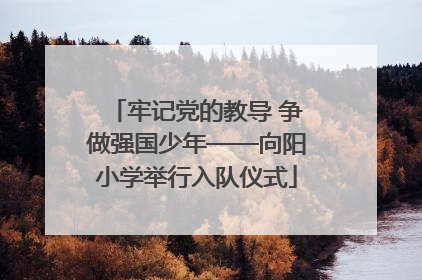 牢记党的教导 争做强国少年——向阳小学举行入队仪式