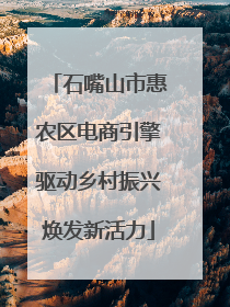 石嘴山市惠农区电商引擎驱动乡村振兴焕发新活力