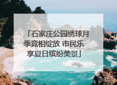 石家庄公园绣球月季竞相绽放 市民乐享夏日缤纷美景