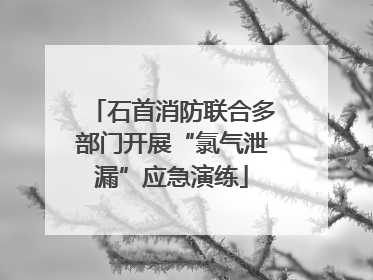 石首消防联合多部门开展“氯气泄漏”应急演练