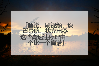 睡觉、刷视频、设置导航、找充电器 这些高速违停理由一个比一个离谱