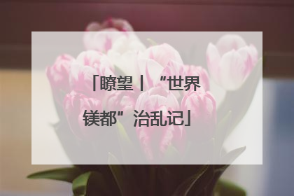 瞭望丨“世界镁都”治乱记