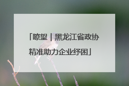 瞭望｜黑龙江省政协精准助力企业纾困