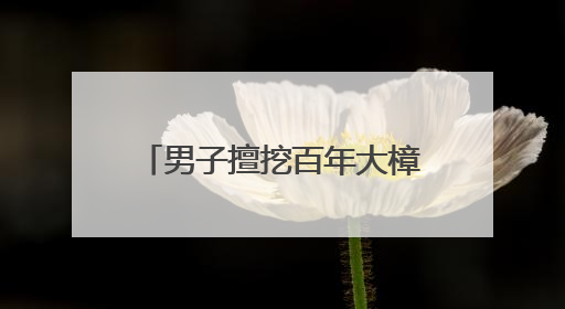 男子擅挖百年大樟树，检察护绿让古树“老有所依”