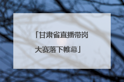 甘肃省直播带岗大赛落下帷幕