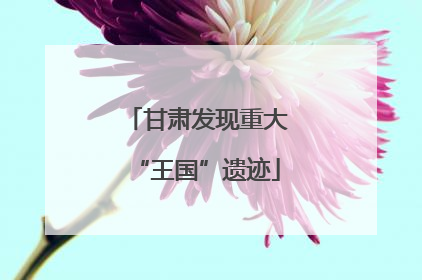 甘肃发现重大“王国”遗迹