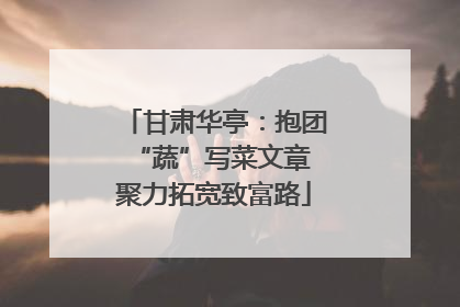甘肃华亭：抱团“蔬”写菜文章 聚力拓宽致富路