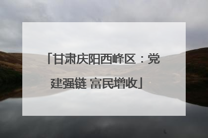 甘肃庆阳西峰区：党建强链 富民增收