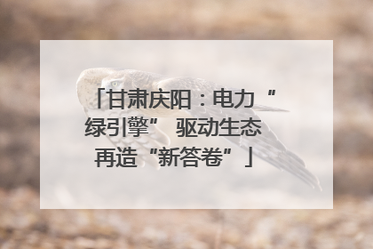 甘肃庆阳：电力“绿引擎” 驱动生态再造“新答卷”