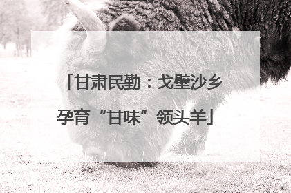 甘肃民勤：戈壁沙乡孕育“甘味”领头羊