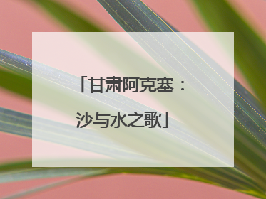 甘肃阿克塞：沙与水之歌