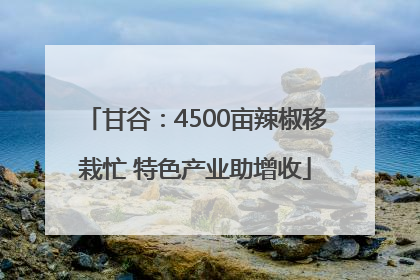 甘谷：4500亩辣椒移栽忙 特色产业助增收