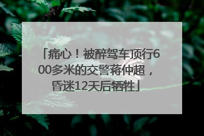 痛心！被醉驾车顶行600多米的交警蒋仲超，昏迷12天后牺牲