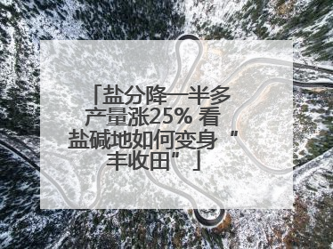 盐分降一半多 产量涨25% 看盐碱地如何变身“丰收田”