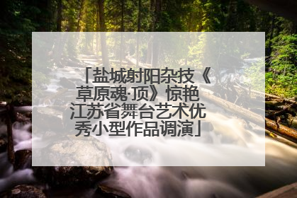 盐城射阳杂技《草原魂·顶》惊艳江苏省舞台艺术优秀小型作品调演