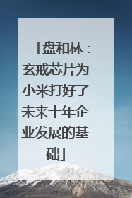 盘和林：玄戒芯片为小米打好了未来十年企业发展的基础