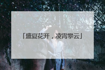 盛夏花开，凌霄攀云