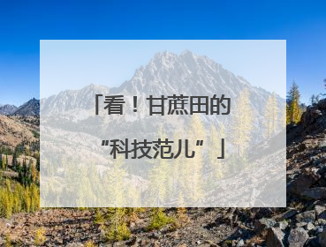 看！甘蔗田的“科技范儿”