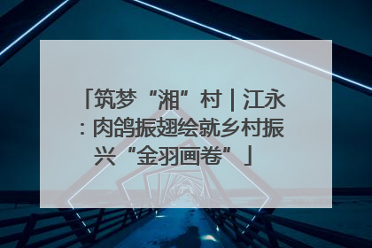 筑梦“湘”村｜江永：肉鸽振翅绘就乡村振兴“金羽画卷”