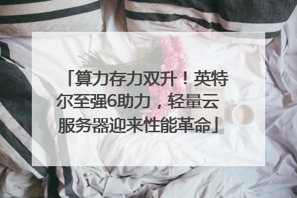 算力存力双升！英特尔至强6助力，轻量云服务器迎来性能革命