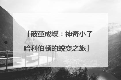 破茧成蝶：神奇小子哈利伯顿的蜕变之旅