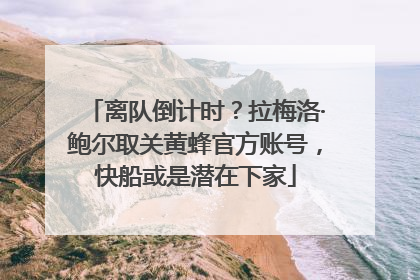离队倒计时？拉梅洛·鲍尔取关黄蜂官方账号，快船或是潜在下家