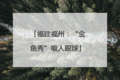 福建福州：“金鱼秀”吸人眼球