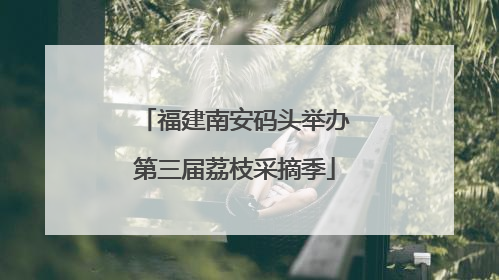福建南安码头举办第三届荔枝采摘季