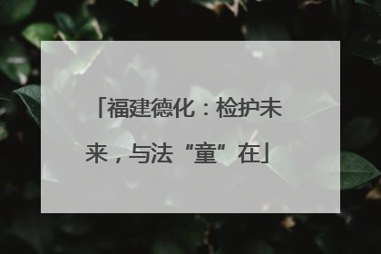 福建德化：检护未来，与法“童”在