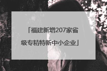 福建新增207家省级专精特新中小企业