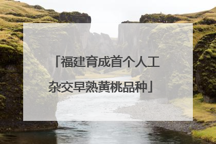 福建育成首个人工杂交早熟黄桃品种