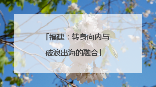 福建：转身向内与破浪出海的融合