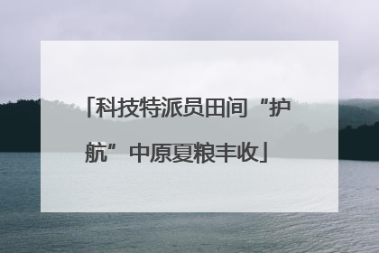 科技特派员田间“护航”中原夏粮丰收