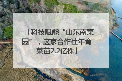 科技赋能“山东南菜园”，这家合作社年育菜苗2.2亿株